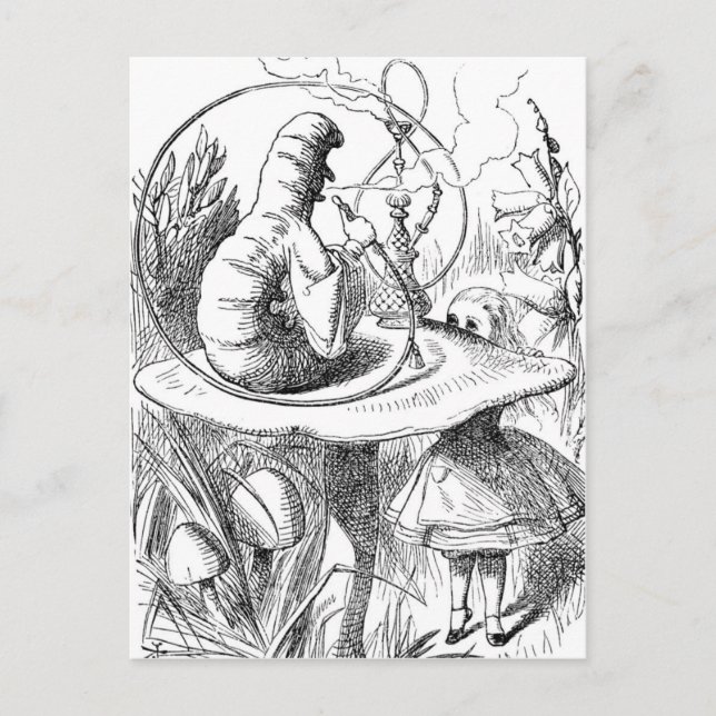 Carte Postale Alice regarde la Caterpillar (Devant)