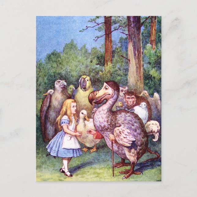 CARTE POSTALE ALICE RENCONTRE L'OISEAU DODO (Devant)
