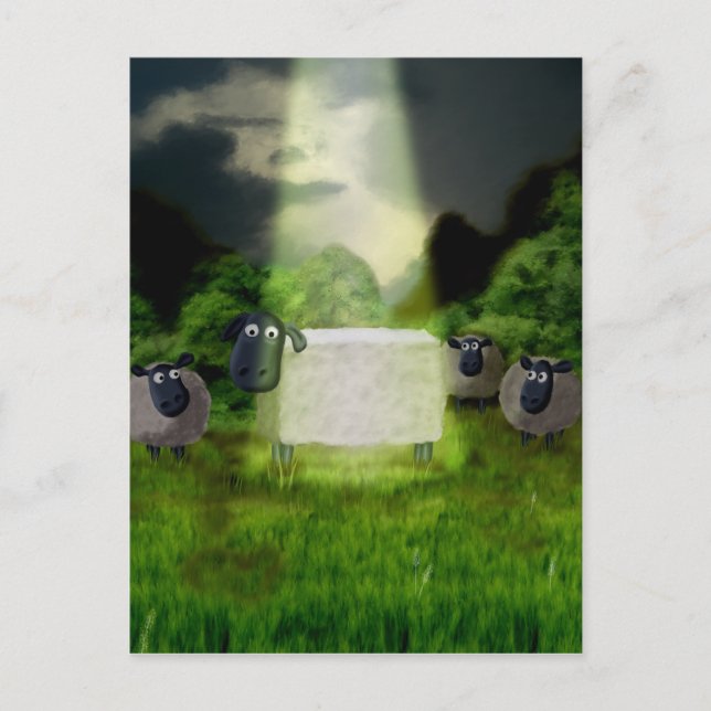 Carte postale Alien Sheep Experiment (Devant)