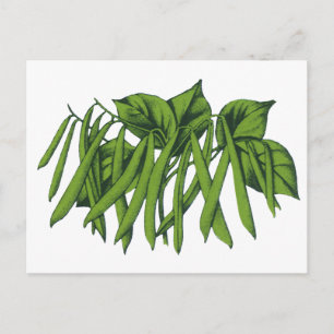 Carte Postale Aliments vintages, haricots verts biologiques Légu
