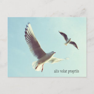 Carte postale Alis Volat Propriis