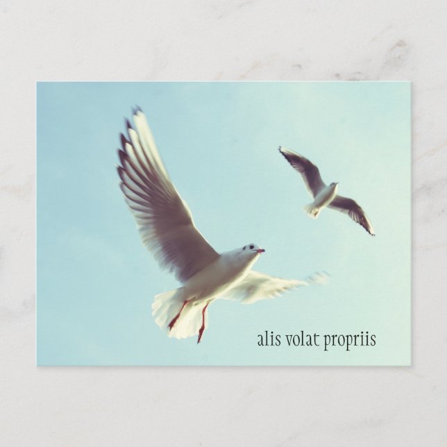 Carte postale Alis Volat Propriis (Devant)