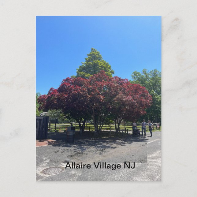 Carte Postale Allaire Village NJ (Devant)