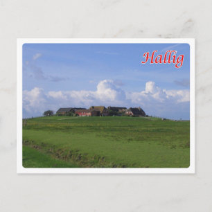 Carte Postale Allemagne - Hallig -