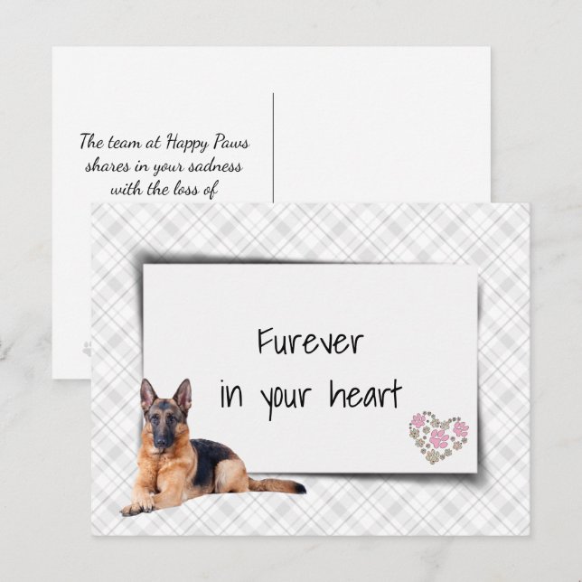 Carte Postale Allemand berger animal de compagnie Sympathy Loss (Devant / Derrière)