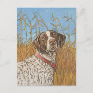 Carte postale allemande Shorthair Pointer Dointer 