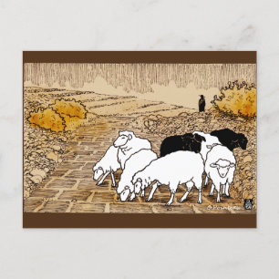 Carte Postale Aller Au Pâturage