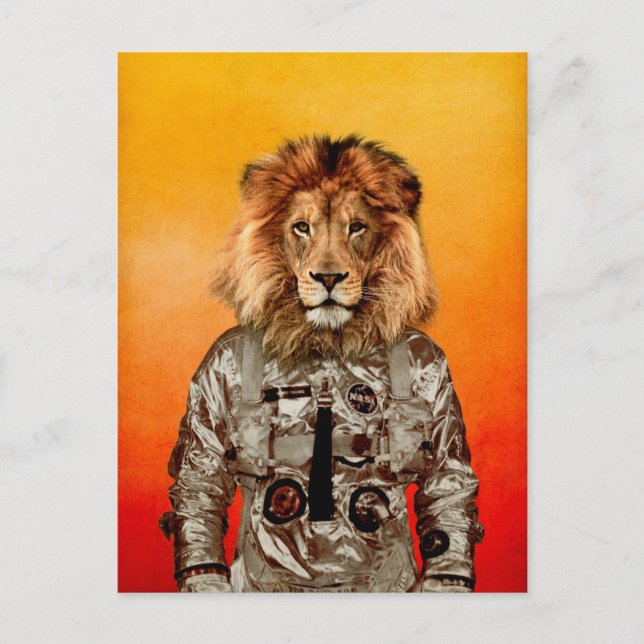 Carte Postale Aller au vol (Devant)