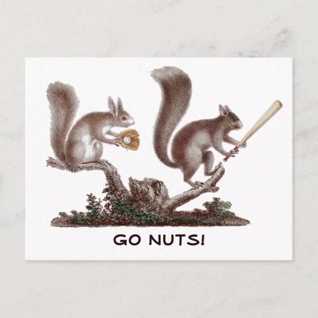 Carte Postale Aller Nuts Rally Squirrel Salutations de St Louis! (Devant)