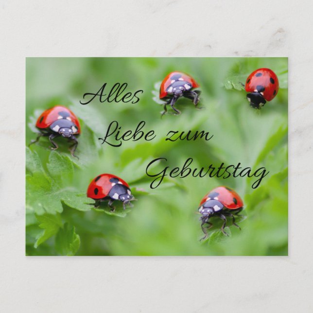 Carte Postale Alles Liebe zum Geburtstag ! (Devant)