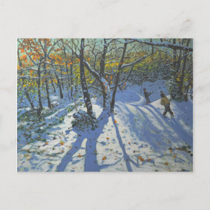 Carte Postale Allestree Park Woods novembre 2010
