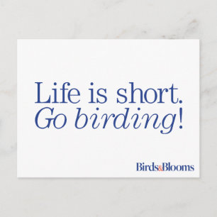 Carte Postale Allez Birding !