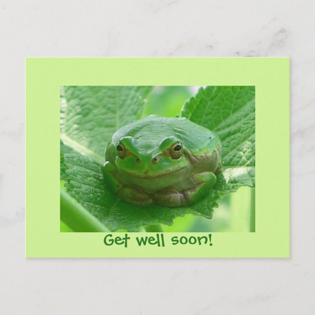 Carte Postale Allez-y bientôt - grenouille verte avec sourire (Devant)