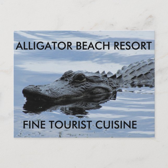 Carte postale Alligator Beach Resort (Devant)