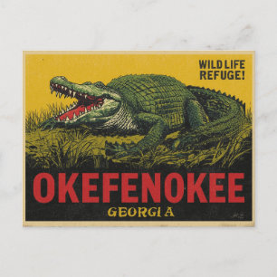 Carte Postale Alligator de marais Okefenokee Géorgie
