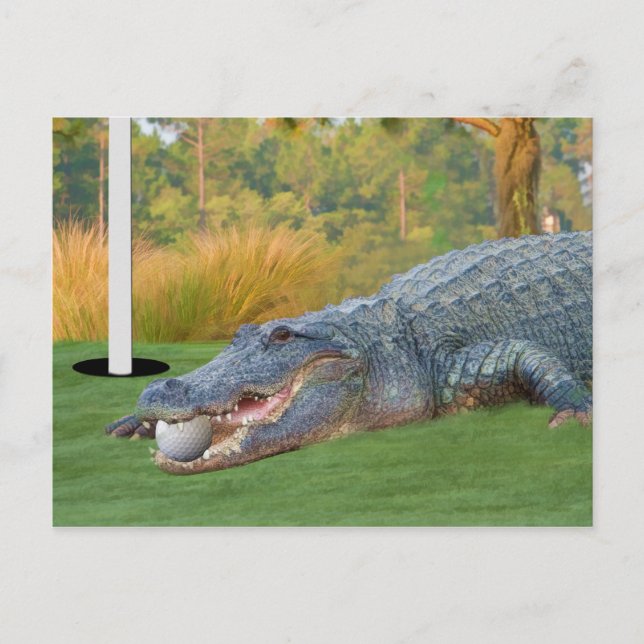 Carte postale Alligator Golfator Lie dangereuse (Devant)