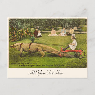 Carte postale Alligator personnalisée