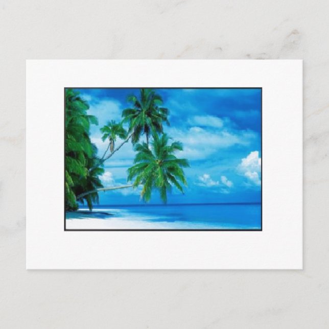 Carte Postale Aloha (Devant)