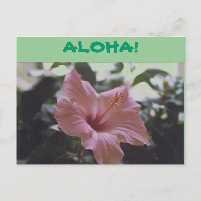 Carte Postale ALOHA ! -Carte postales (Devant)