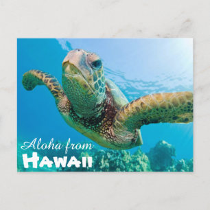 Carte Postale Aloha de Hawaii Honu Green Sea Turtle