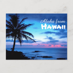 Carte Postale Aloha de Hawaii Postcard