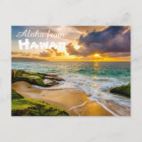 Aloha de Hawaii Postcard
