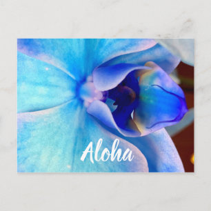Carte Postale Aloha en bleu