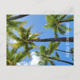 Carte Postale Aloha from Hawaii