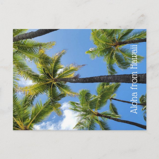 Carte Postale Aloha from Hawaii (Devant)