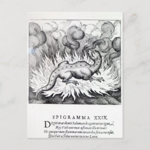 Carte Postale Alors que la Salamandre vit en feu