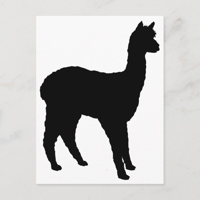 Carte Postale Alpaca Silhouette (Devant)