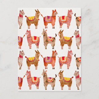 Carte Postale Alpacas
