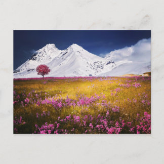 Carte postale Alpes neigeuses