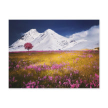 Carte postale Alpes neigeuses