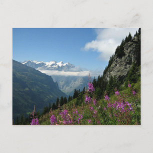 Carte Postale Alpes - Suisse