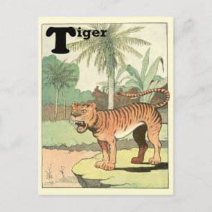 Carte Postale Alphabet animal de tigre de jungle