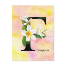Alphabet de fleurs avec l'arrière - plan