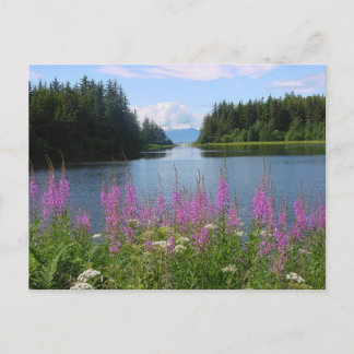 Carte Postale Amalga - vues sur les mauvaises herbes