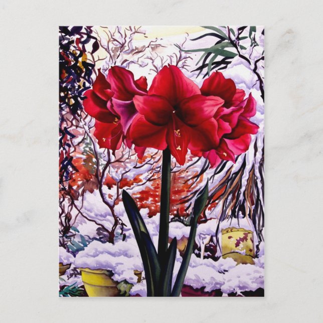 Carte Postale Amaryllis par la fenêtre de neige (Devant)