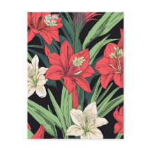 Amaryllis rouge et blanc Design floral