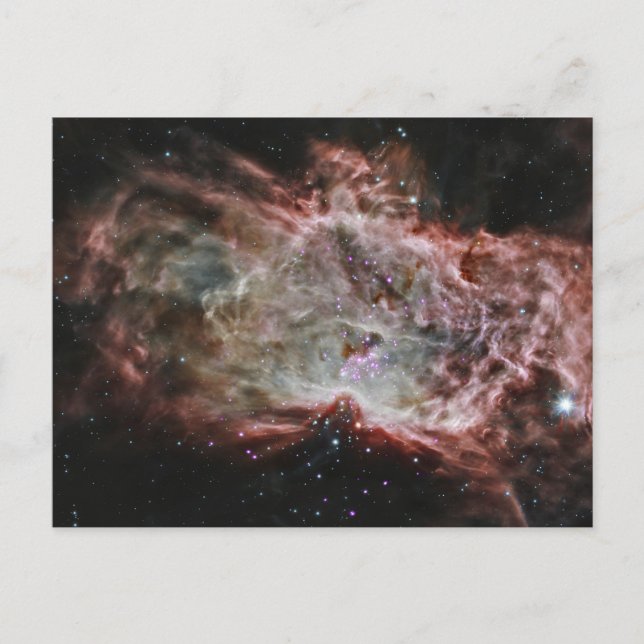 Carte Postale Amas d'étoiles au centre de la nébuleuse de la Fla (Devant)