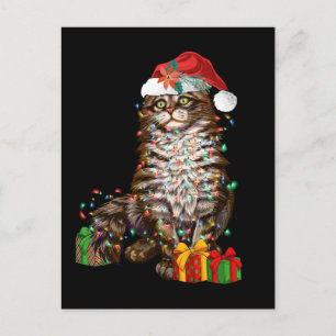 Carte Postale Amateur de chat de Noël drôle de chaton de Noël