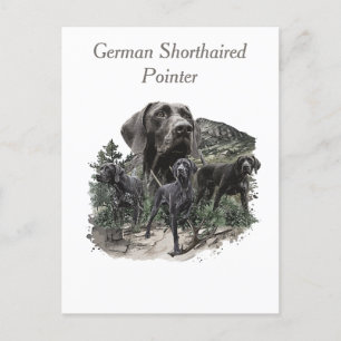 Carte Postale Amateurs allemands de pointeur à cheveux courts