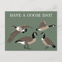 Amateurs d'oiseaux Canada Oies Illustration person