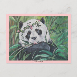 Carte Postale Amato