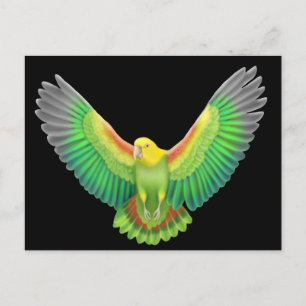 Carte Postale Amazonie à tête jaune double