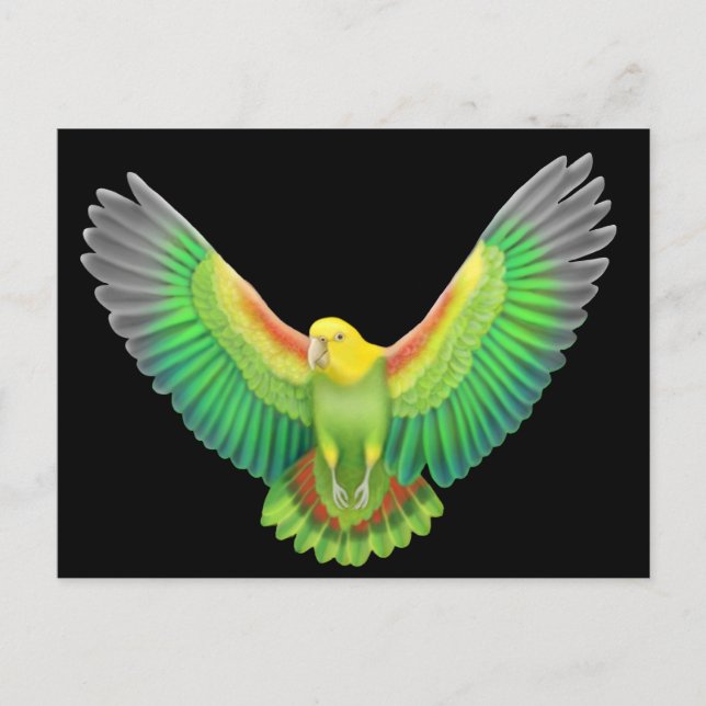 Carte Postale Amazonie à tête jaune double (Devant)