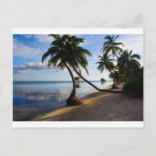 Carte Postale Ambergris Caye Belize