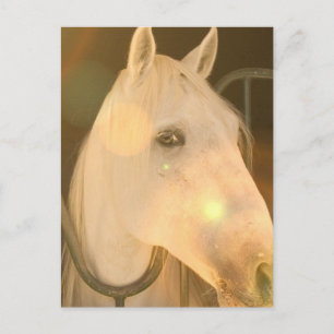 Carte postale américaine andalouse