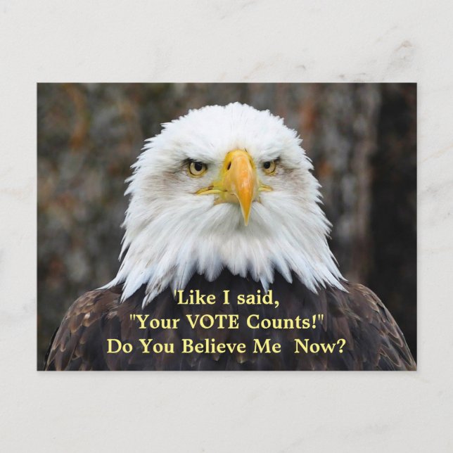 Carte postale américaine de VOTE d'Eagle chauve de (Devant)